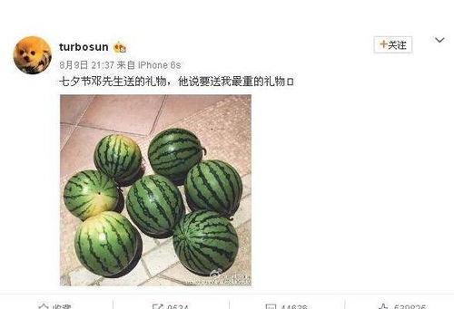 網(wǎng)絡大瓜,揭秘娛樂圈幕后真相，帶你走進明星隱私世界
