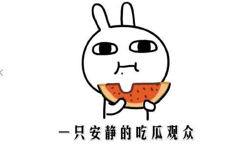 吃瓜網(wǎng),吃瓜網(wǎng)帶你領(lǐng)略明星幕后故事