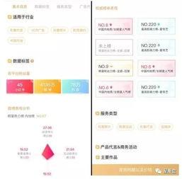 爆料盒子 明星資訊是什么意思,明星資訊背后的真相與內(nèi)幕