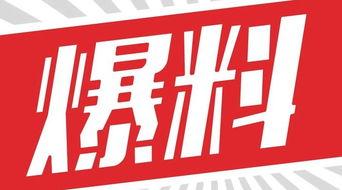 獨家爆料,震驚內(nèi)幕，揭秘事件背后真相！